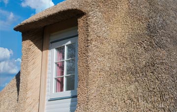 Frome thatch roof disadvantages